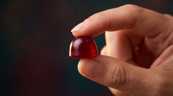 Bio-Available Soft chew Technology